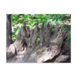 Dead Wood postcards