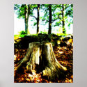 Dead Wood Poster posters