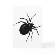 Deadly Spider