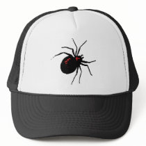 Deadly Spider