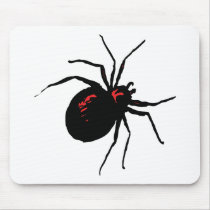 Deadly Spider