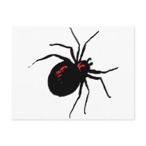 Deadly Spider