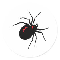 Deadly Spider