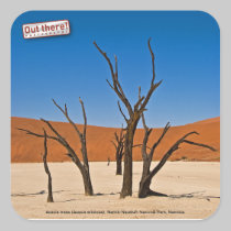Deadvlei stickers