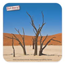 Deadvlei Square Sticker