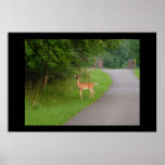 Dear Deer Posters
