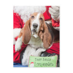 Dear Santa I can Explain Basset Hound