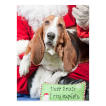 Dear Santa I can Explain Basset Hound Postcard