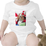 Dear Santa I can Explain Basset Hound Rompers