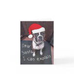 Dear Santa I Can Explain cards