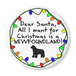 Dear Santa Newfoundland