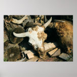 Death at a Buffalo Farm posters