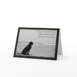 Death of a pet, dog death, sad, dog looking out cards