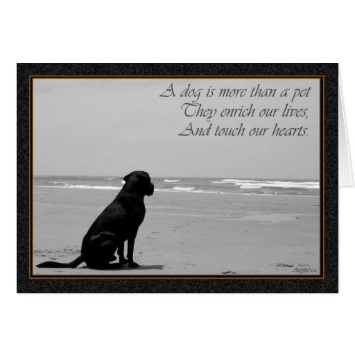 Death of a pet, dog death, sad, dog looking out greeting card