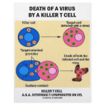 Death Of A Virus By A Killer T Cell (Immunology) Custom Flyer
