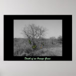 Death of an orange Grove posters
