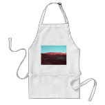 Death Valley Apron