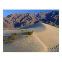 Death Valley California Postcard