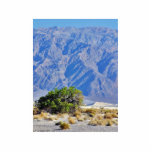 Death Valley Deserts Mountains photo sculptures