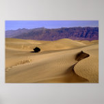 Death Valley sand dune Poster