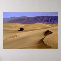 Death Valley sand dune Poster