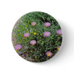 Death Valley - wildflowers flowers Button