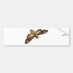 Death's Head Hawk Moth Bumper Sticker