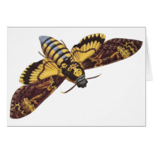 Death's Head Hawk Moth Greeting Cards