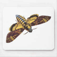 Death's Head Hawk Moth Mouse Pad