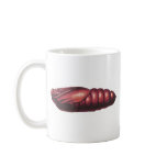 Death's Head Hawk Moth mugs
