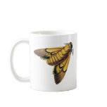 Death's Head Hawk Moth mugs