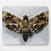 Death's Head Hawkmoth Acherontia Lachesis Mousepad
