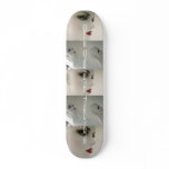 Deca-DT Skate Board Mannequin Style skateboards