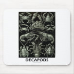 Decapods mousepads