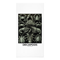 Decapods Customized Photo Card