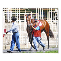 Deciphering Dreams at Belmont Park Photo Print