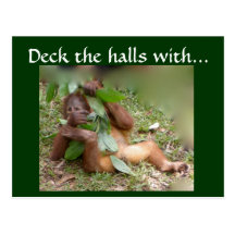 Deck the halls post cards