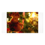Deck the Tree with Reindeer Picture Card