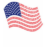 Declaration of Independence Flag Child's T-shirt