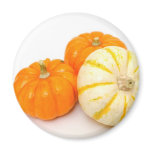 Decorative Pumpkins magnets