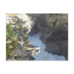 Deep in the Athabasca Falls Postcards