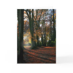 Deep In The Heart Greetings & Note Card