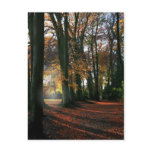 Deep In The Heart Postcard