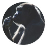 Deep in Thought Sticker