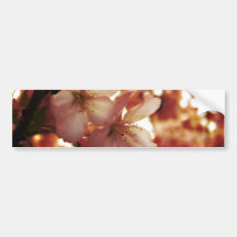 Deep Pink Bumper Sticker