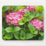 Deep Pink Hydrangeas Mousepads