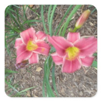 Deep Pink Lilies Sticker