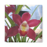 Deep Pink Orchid Magnet