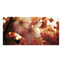 Deep Pink Personalized Photo Card