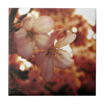 Deep Pink Tile